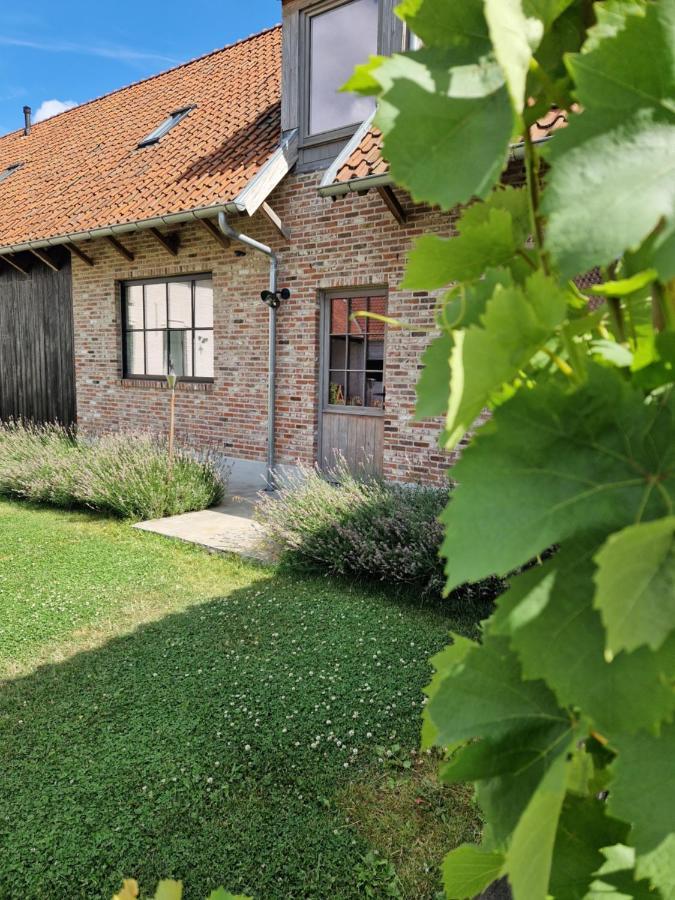 Villa Muntershof à Velzeke-Ruddershove Extérieur photo